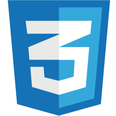 CSS Logo